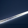 Светодиодная LED лента Feron LS501 120SMD(2835)/м 11Вт/м 24V 5000х8х1.22мм 6000К